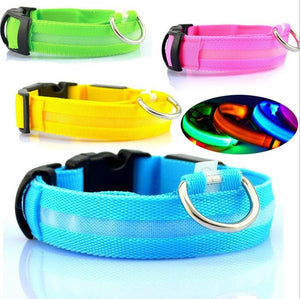 FREE! LED Light Dog Collar (Just Pay Shipping & Handling!)