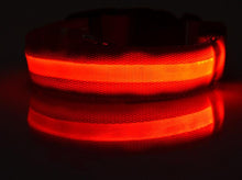 FREE! LED Light Dog Collar (Just Pay Shipping & Handling!)