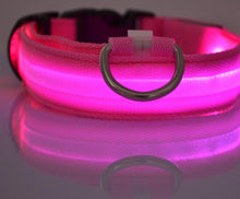 FREE! LED Light Dog Collar (Just Pay Shipping & Handling!)