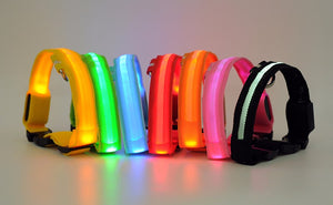 FREE! LED Light Dog Collar (Just Pay Shipping & Handling!)