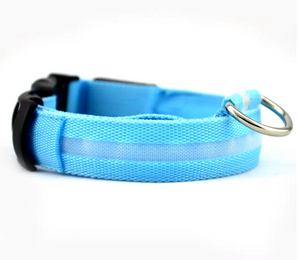 FREE! LED Light Dog Collar (Just Pay Shipping & Handling!)