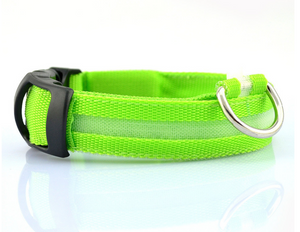 FREE! LED Light Dog Collar (Just Pay Shipping & Handling!)